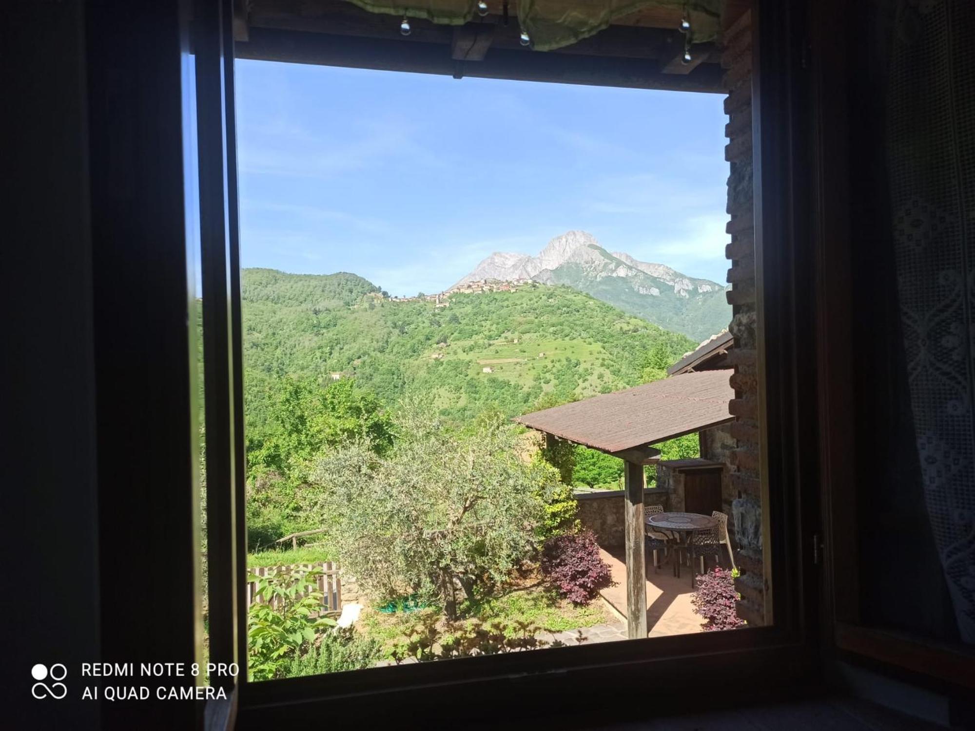 Agriturismo Summer Gallicano Номер фото